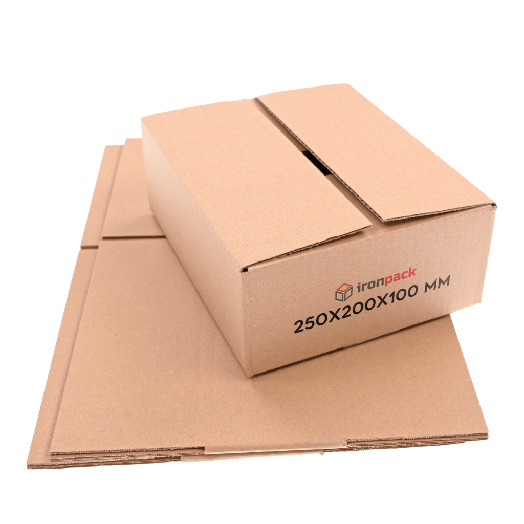 Karton klapowy 250x200x100mm
